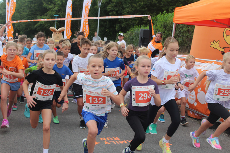 Family Run Ergebnisse Family Run Ergebnisse